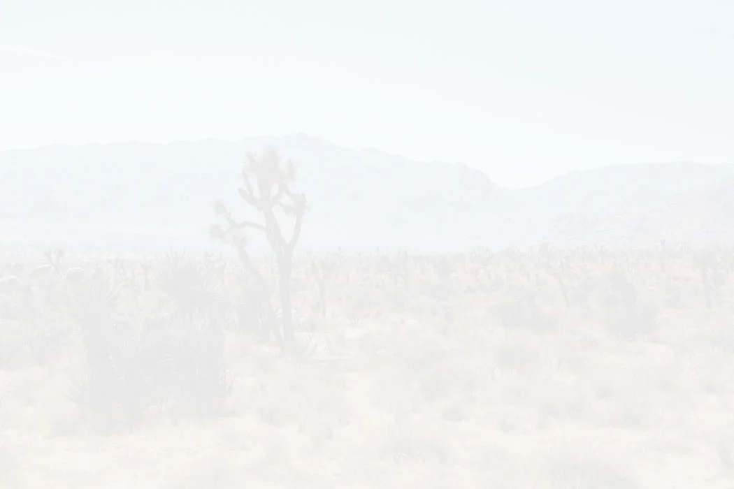 desertWhite.jpg
