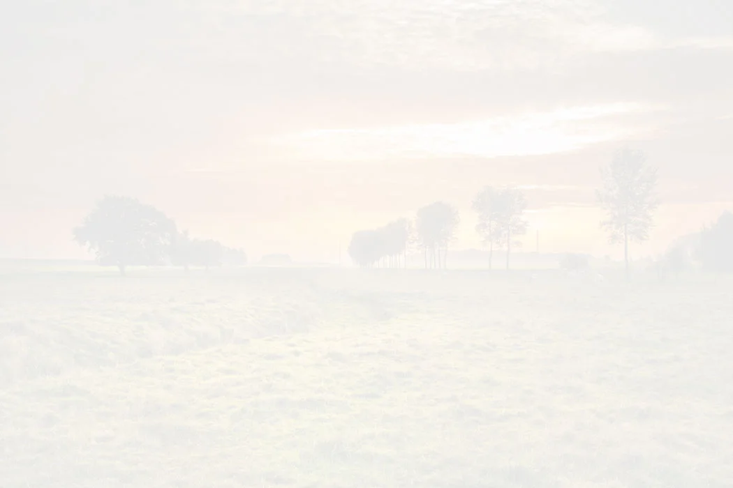 whiteSunset.jpg