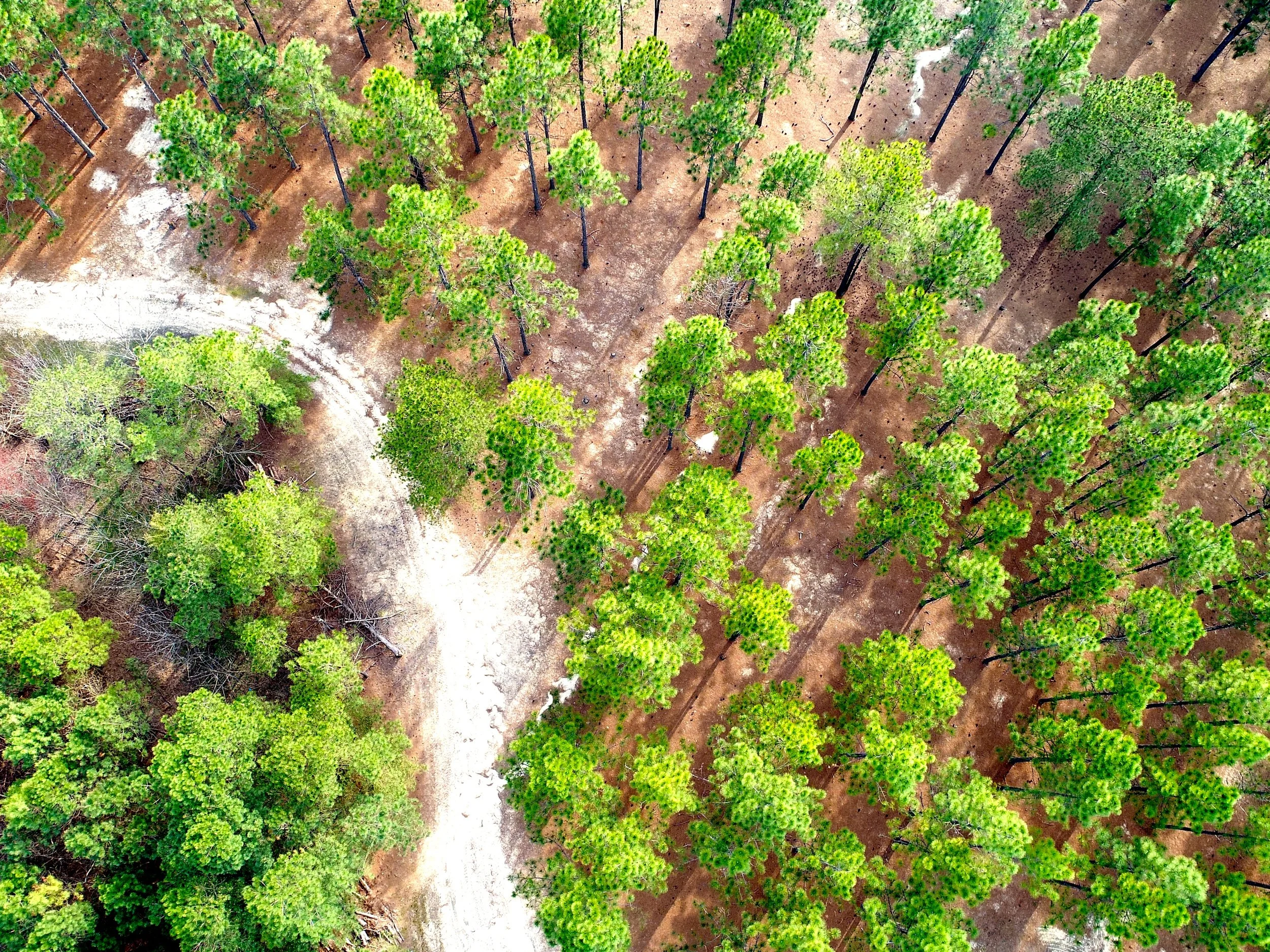 Premium Land Investments