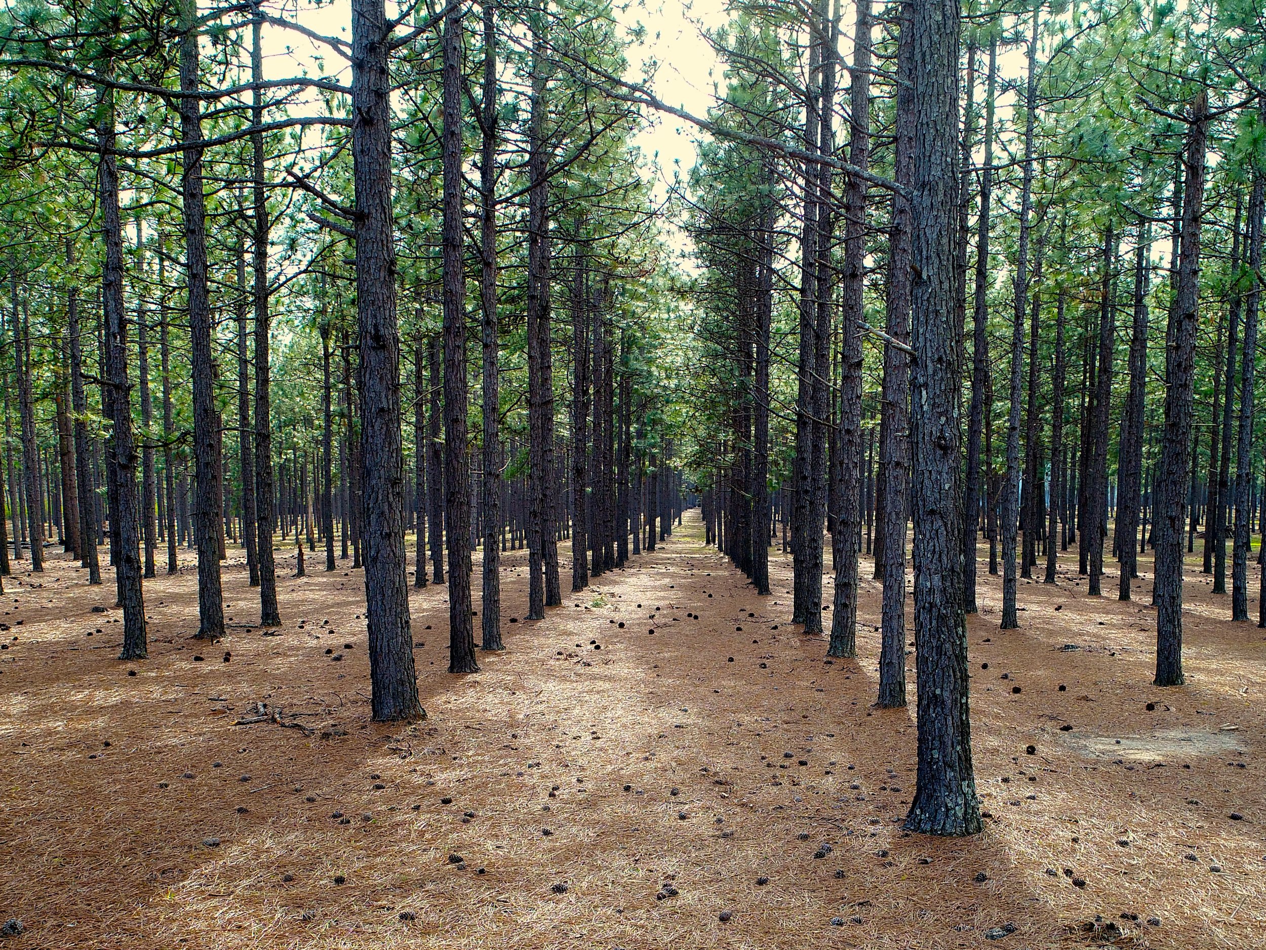 Premium Land Investments