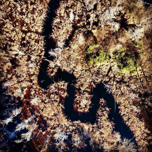 A river (or creek) runs through it. Always a bonus for the recreationally motivated land buyer.  #caliberland  #buffalocreek #hokecounty #realestate #landbroker #landsales #hunting #fishing #nc #forsale