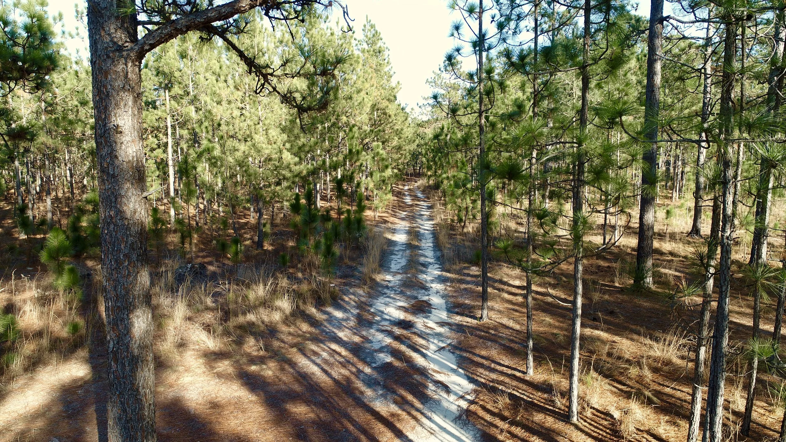 SANDHILLS RECREATIONAL TRACT