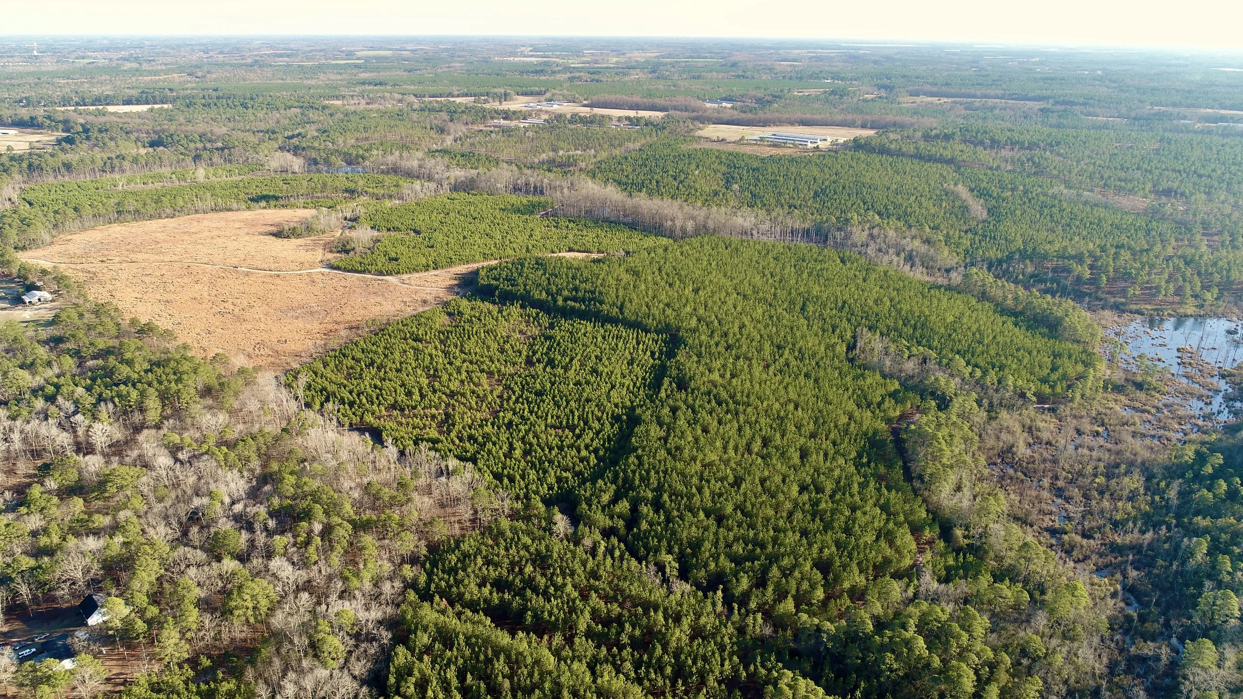 CALLOWAY ROAD INVESTMENT TRACT