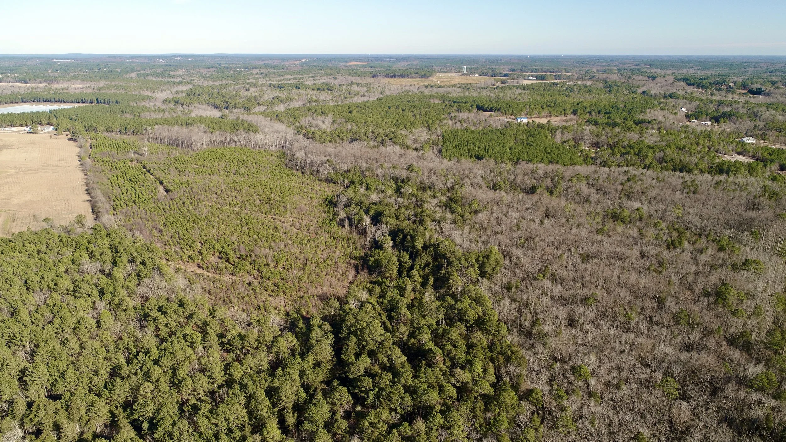 PENDERGRASS ROAD TIMBER TRACT