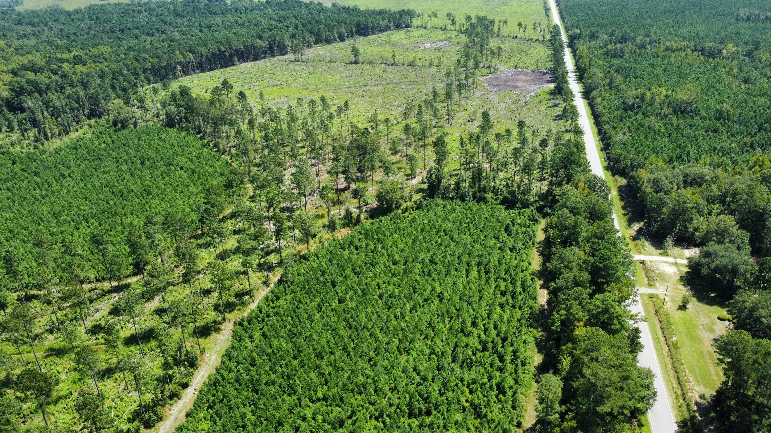 LANE INVESTMENT TRACT