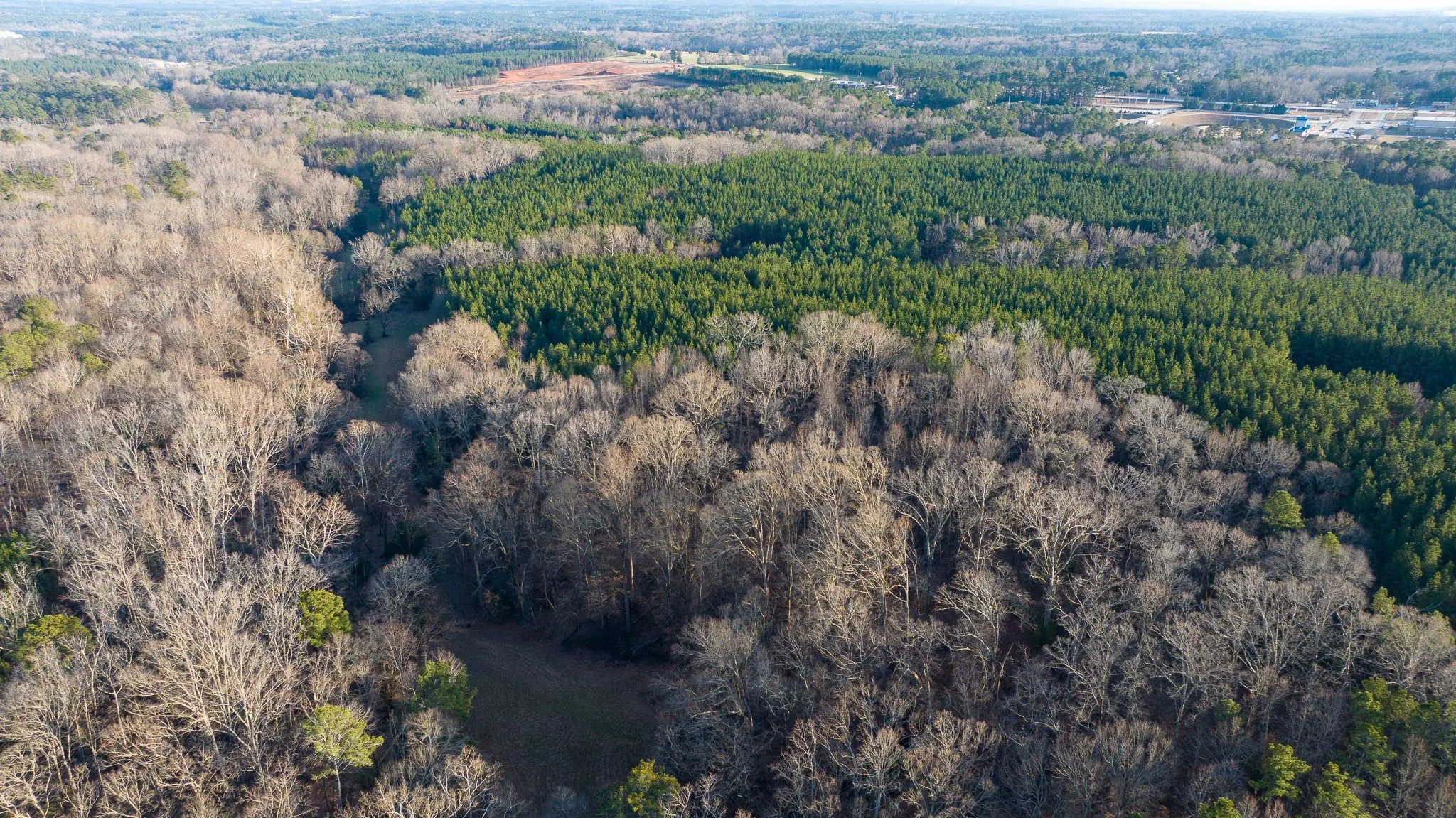 NEWBERRY INVESTMENT TRACT