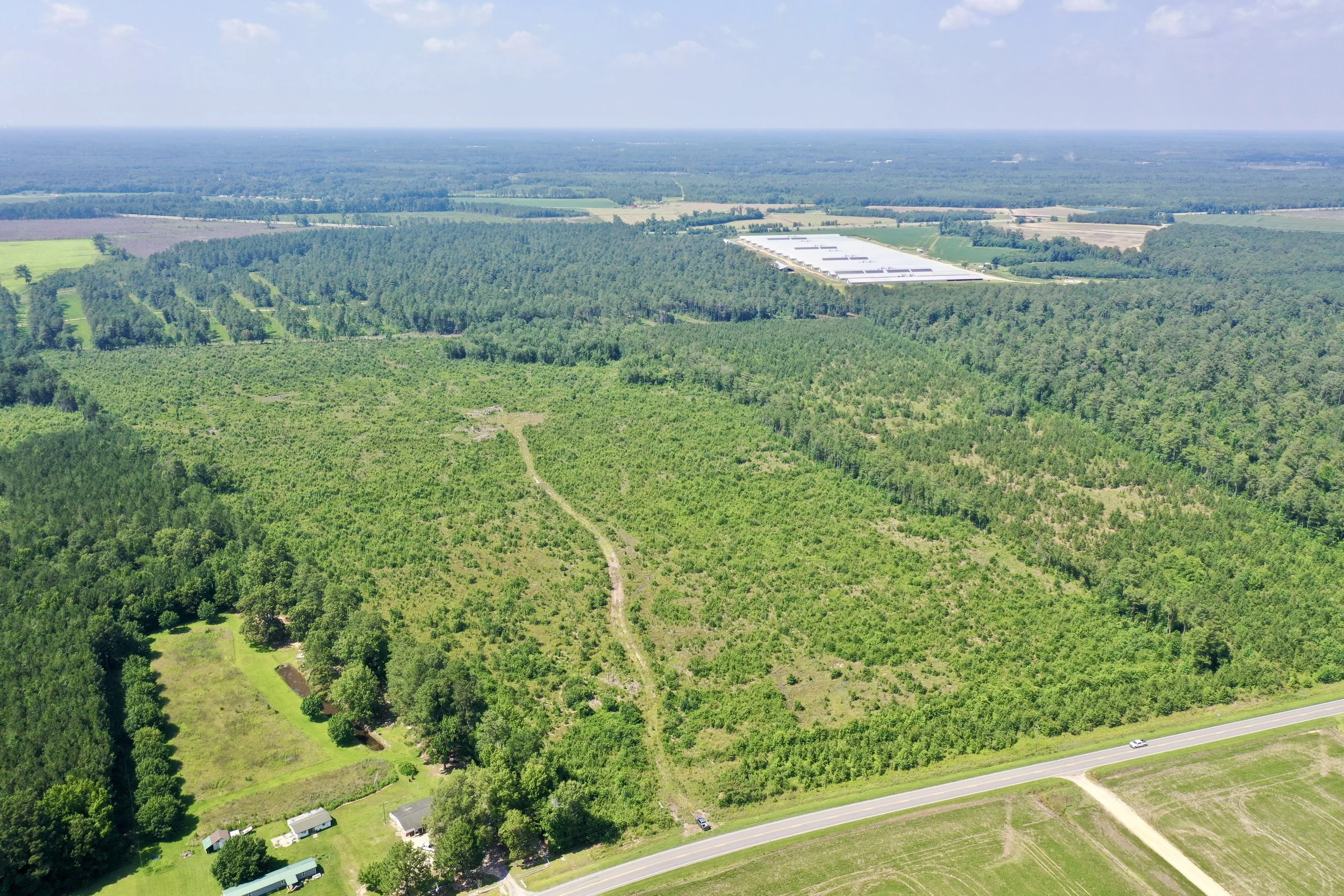 HUTTO TIMBER TRACT