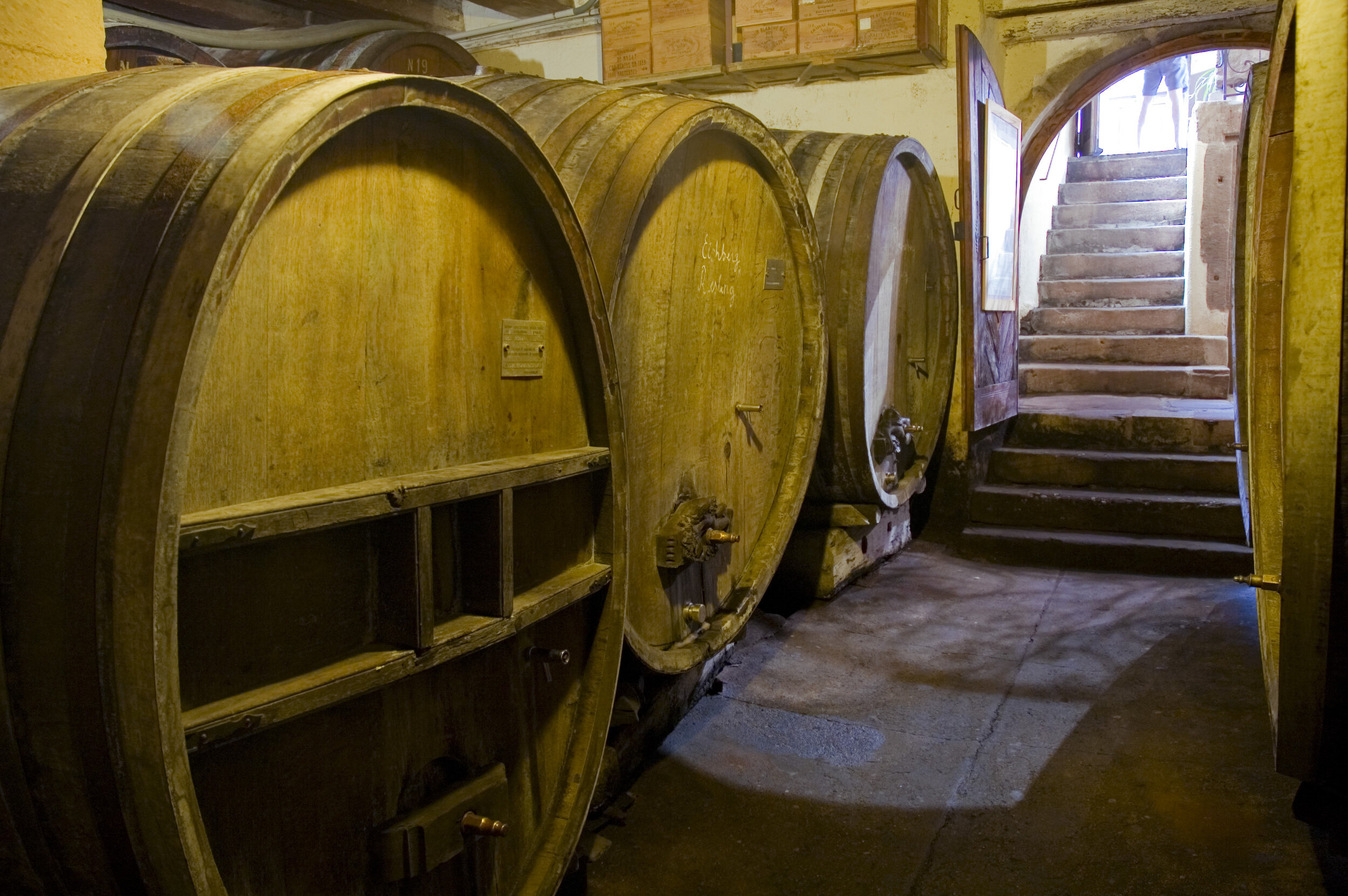 wine-cellar-drome.jpg