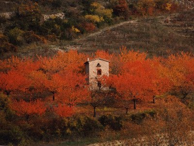 autumn delights