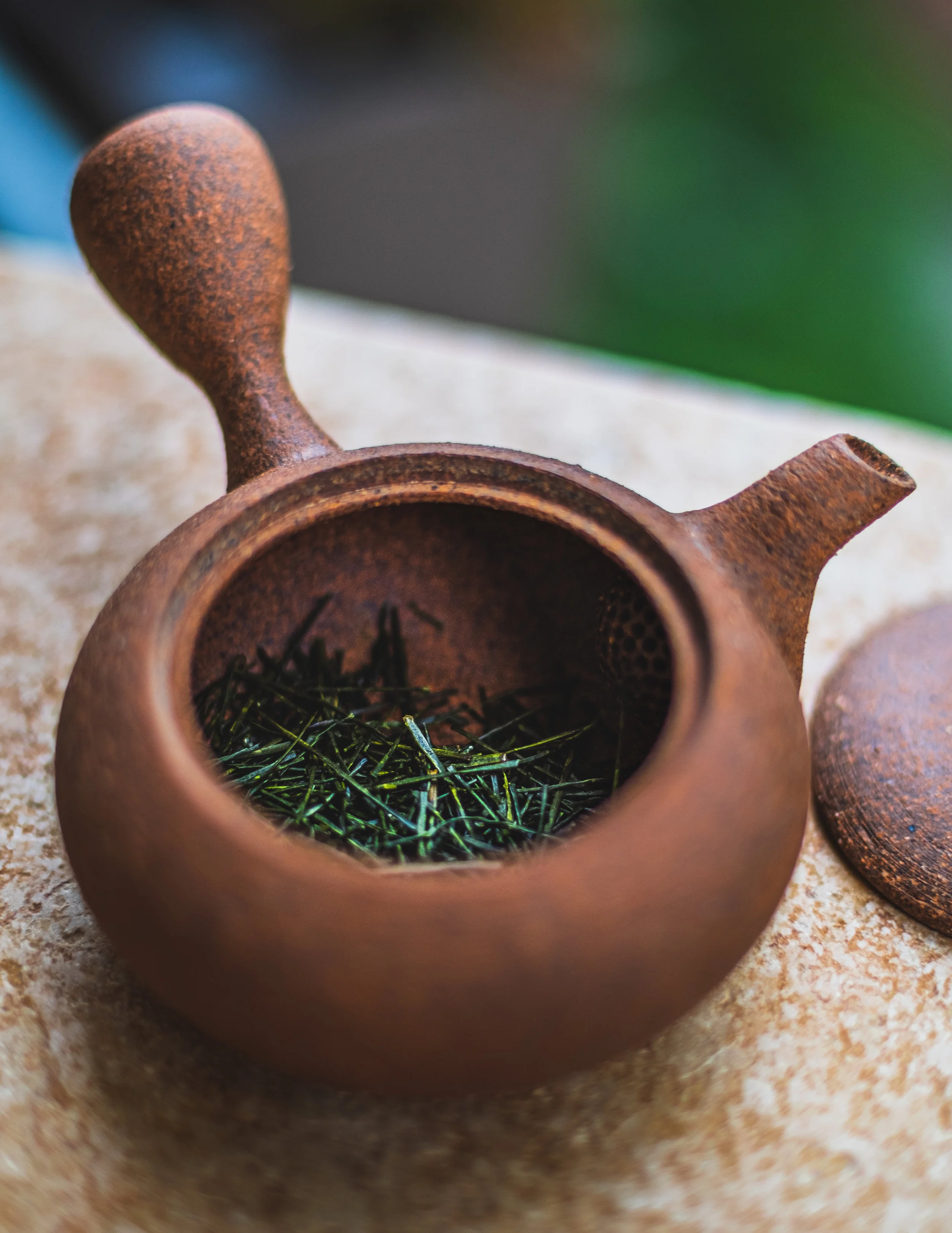 The fresh green leaves in waiting in Kyusu for the first infusion…