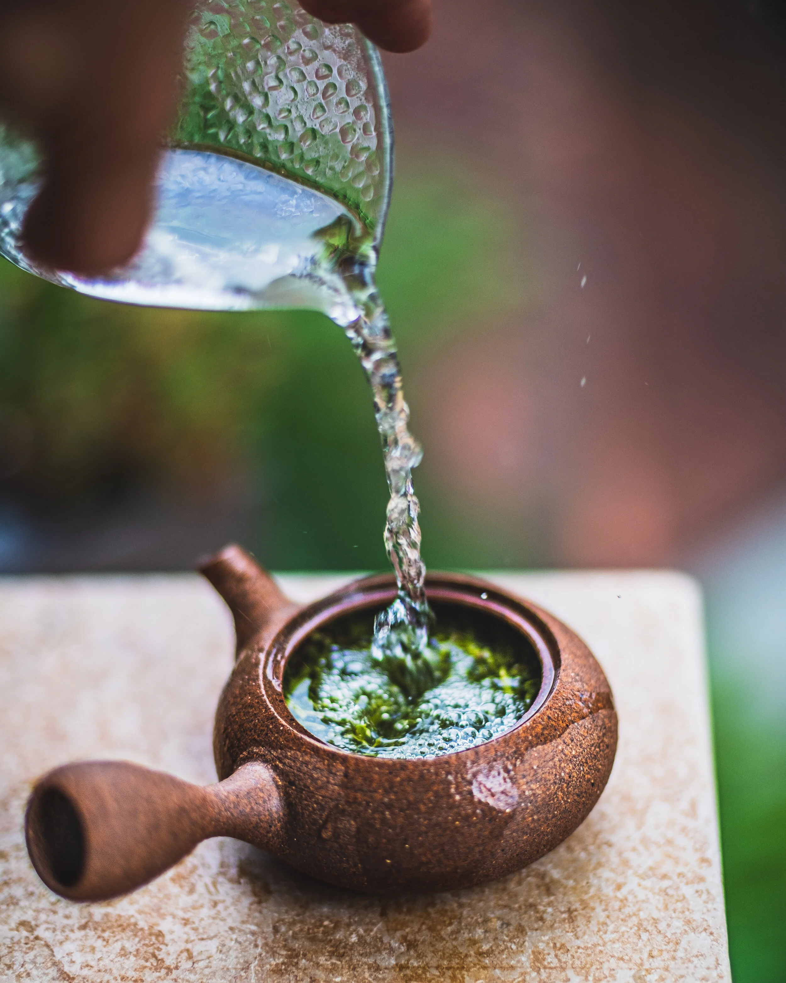 Pouring cooled water from pitcher into Kyusu…