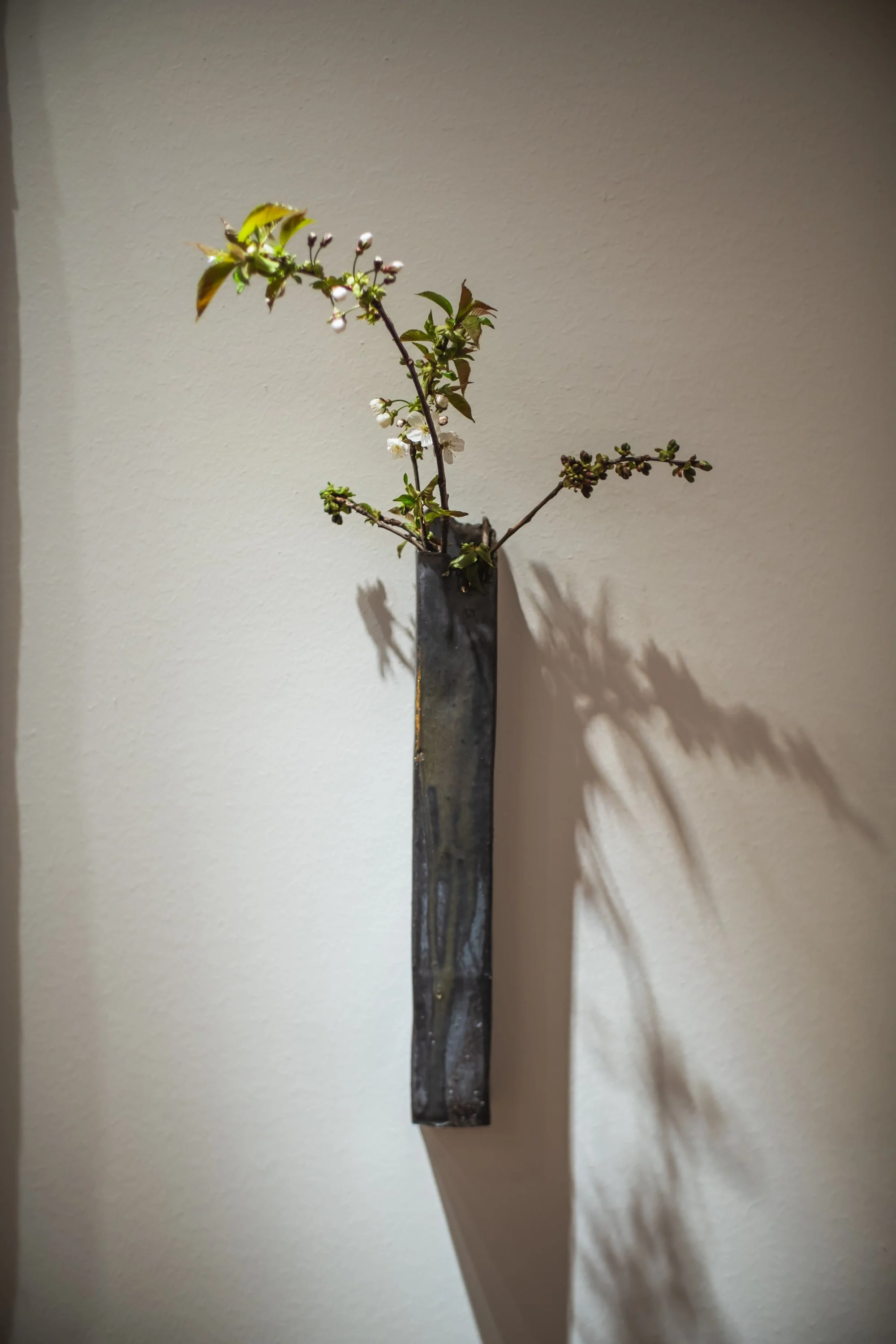 240322-DSCF6177.jpg