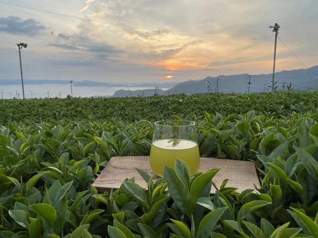 Japan Tea Tasting with Marjolein from Ikedoki Tea