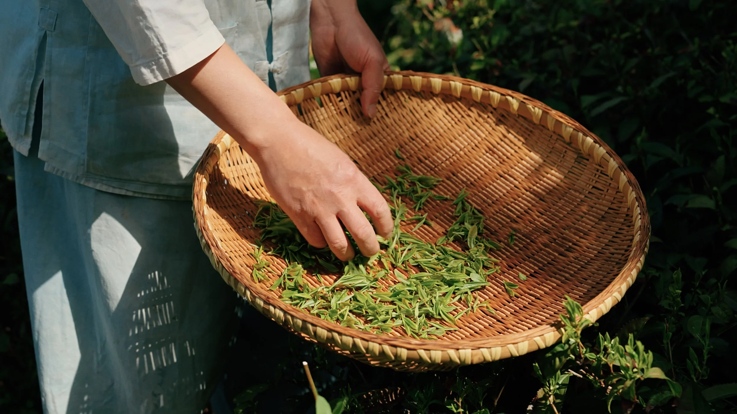 DOJAE GREEN TEA (38).jpg