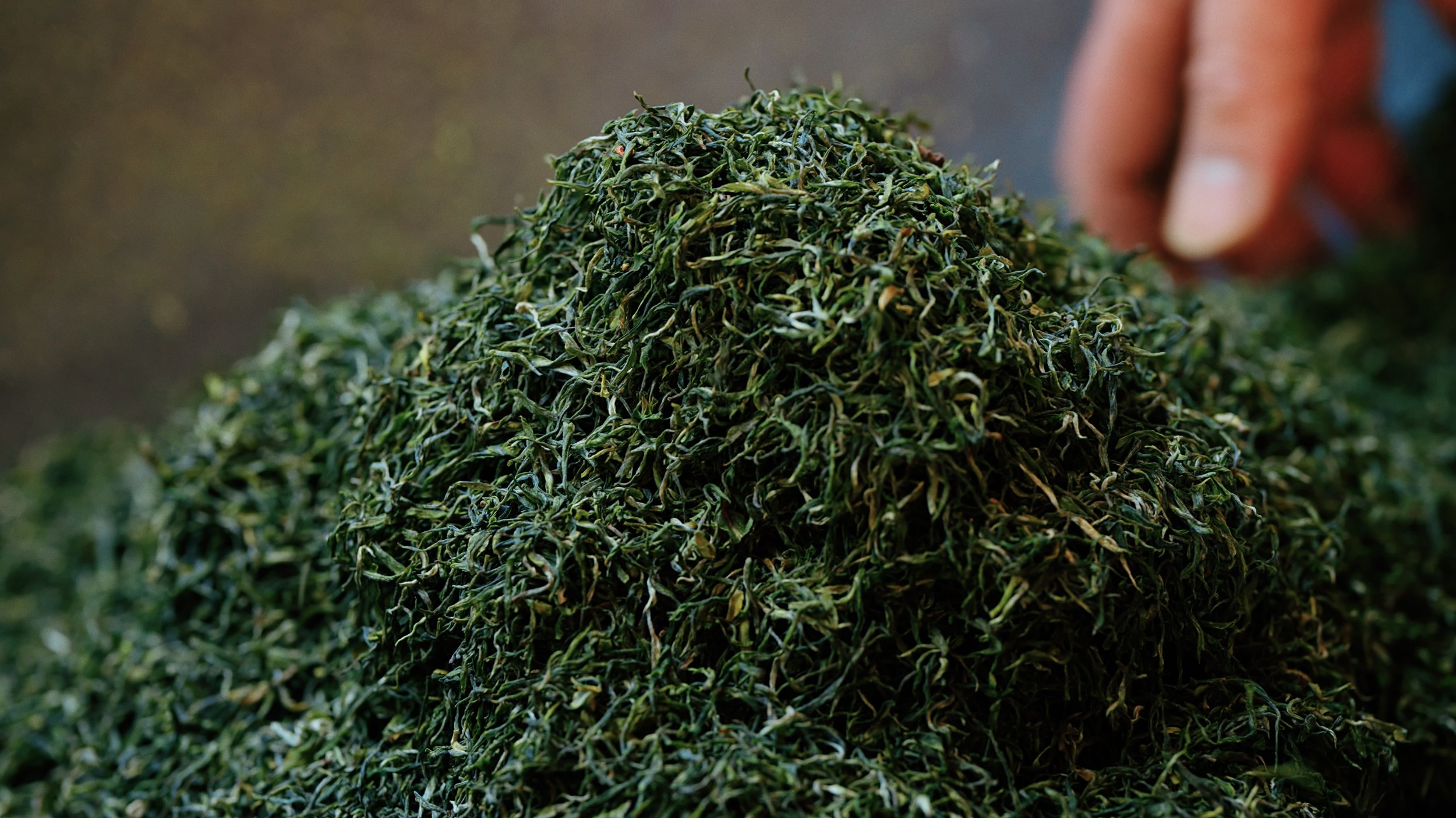 DOJAE GREEN TEA (31).jpg