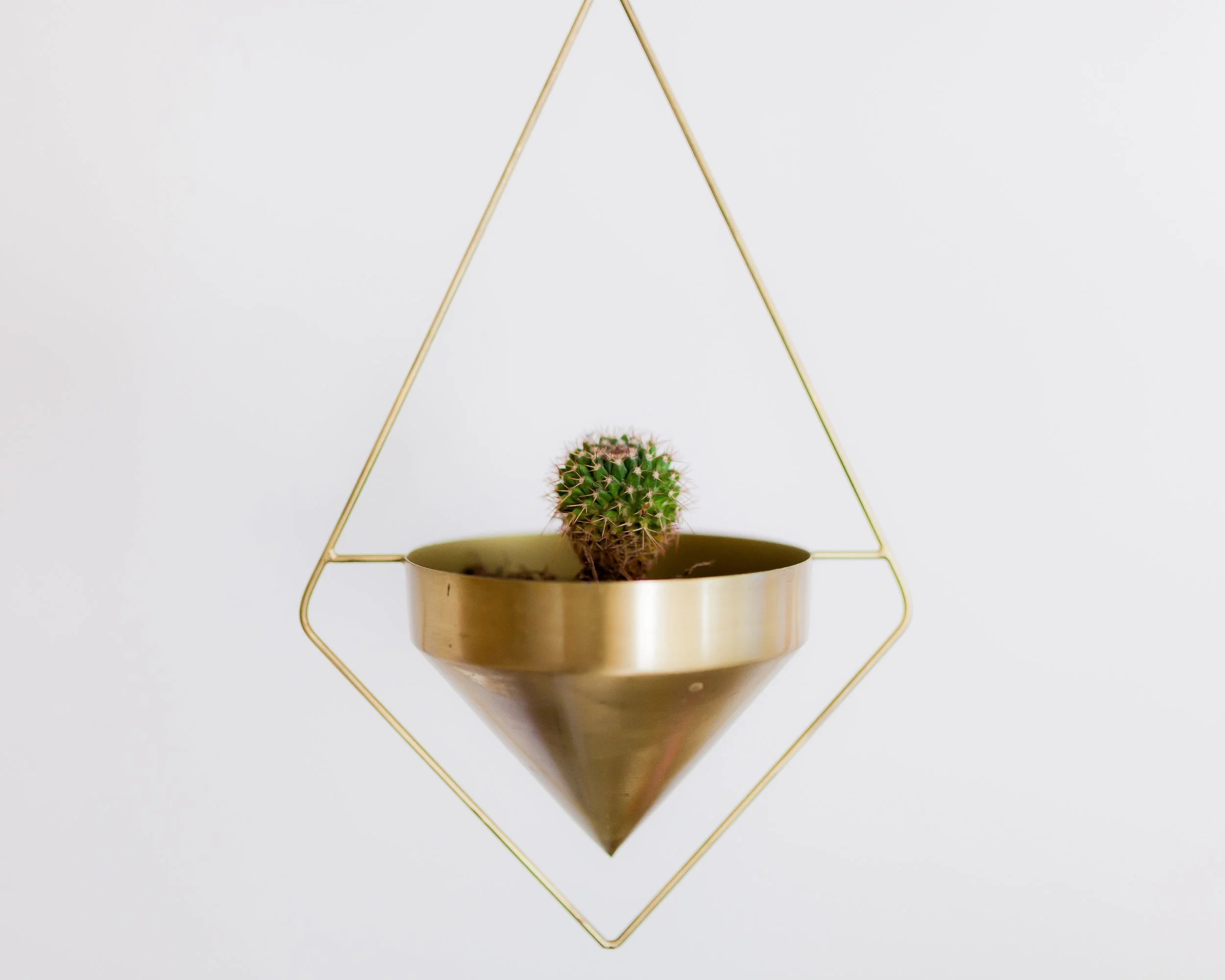 Harjot Mann coaching and consulting greenery minimal.jpg