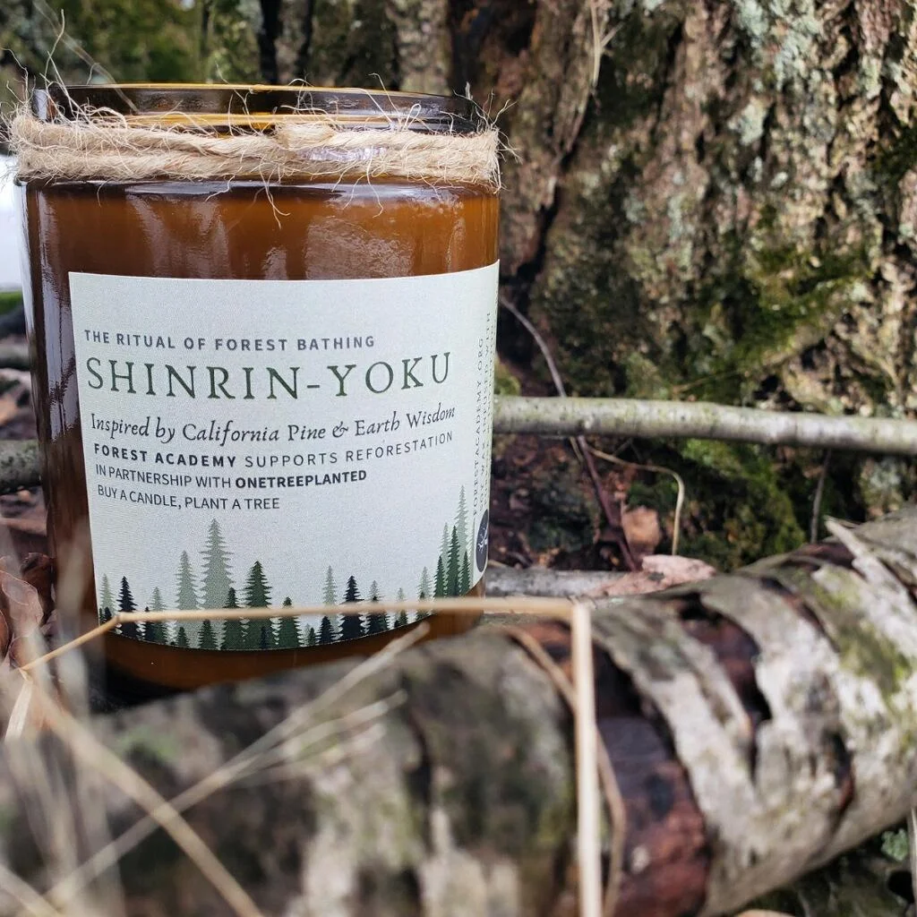 Forest Academy Shinrin-Yoku Candle