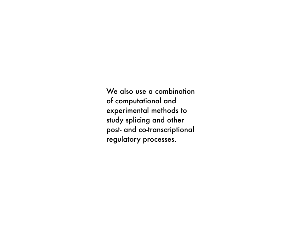 homepage_text.004.png
