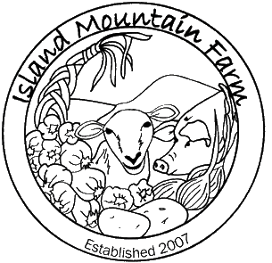 IMF logo.png