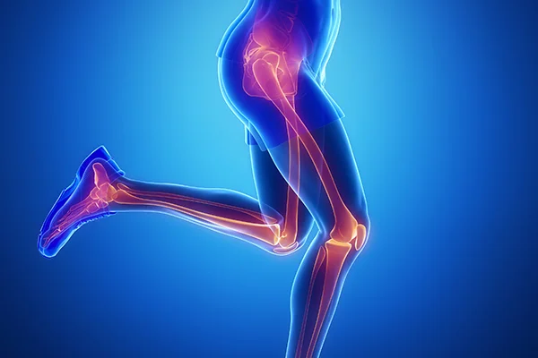 DEXA Osteoporosis.jpg