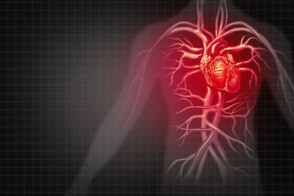 Heart Disease Help.jpg