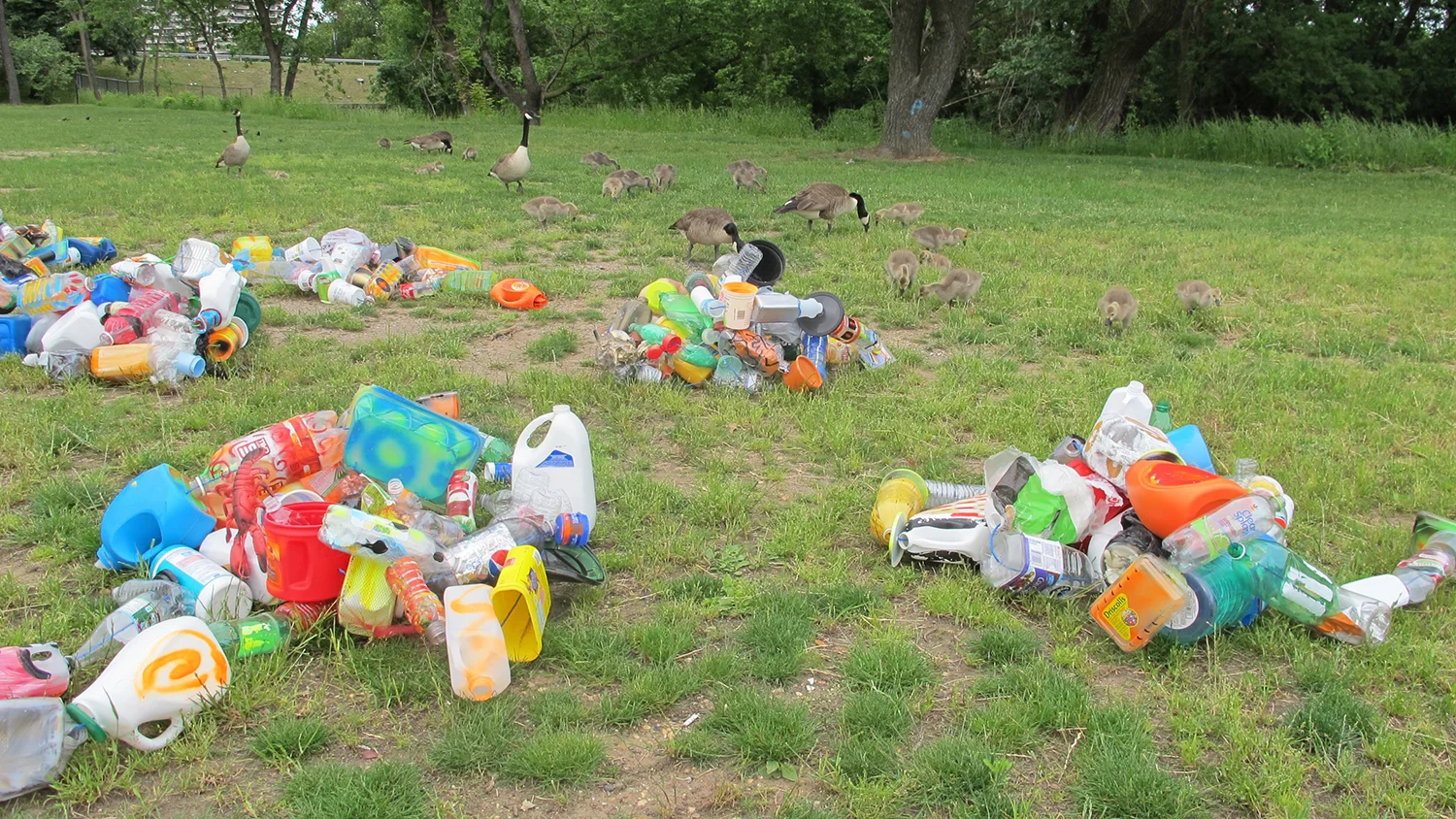 simone_plastic-27.jpg