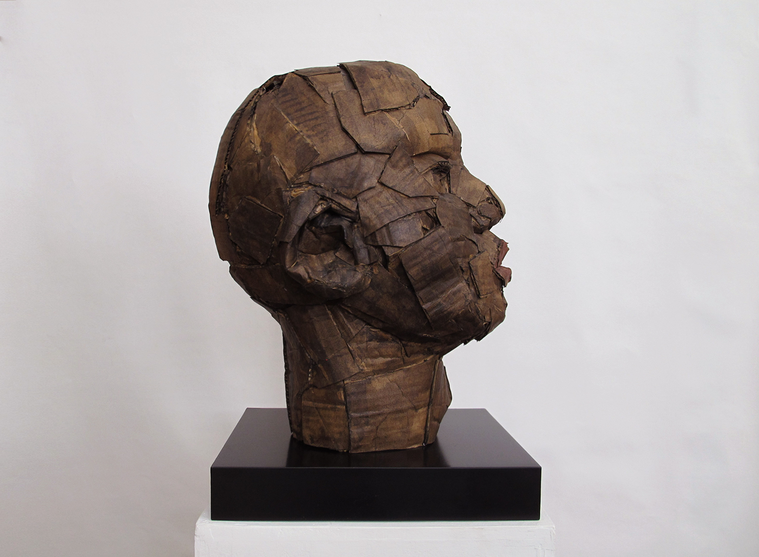 simone_Cardboard-141.jpg