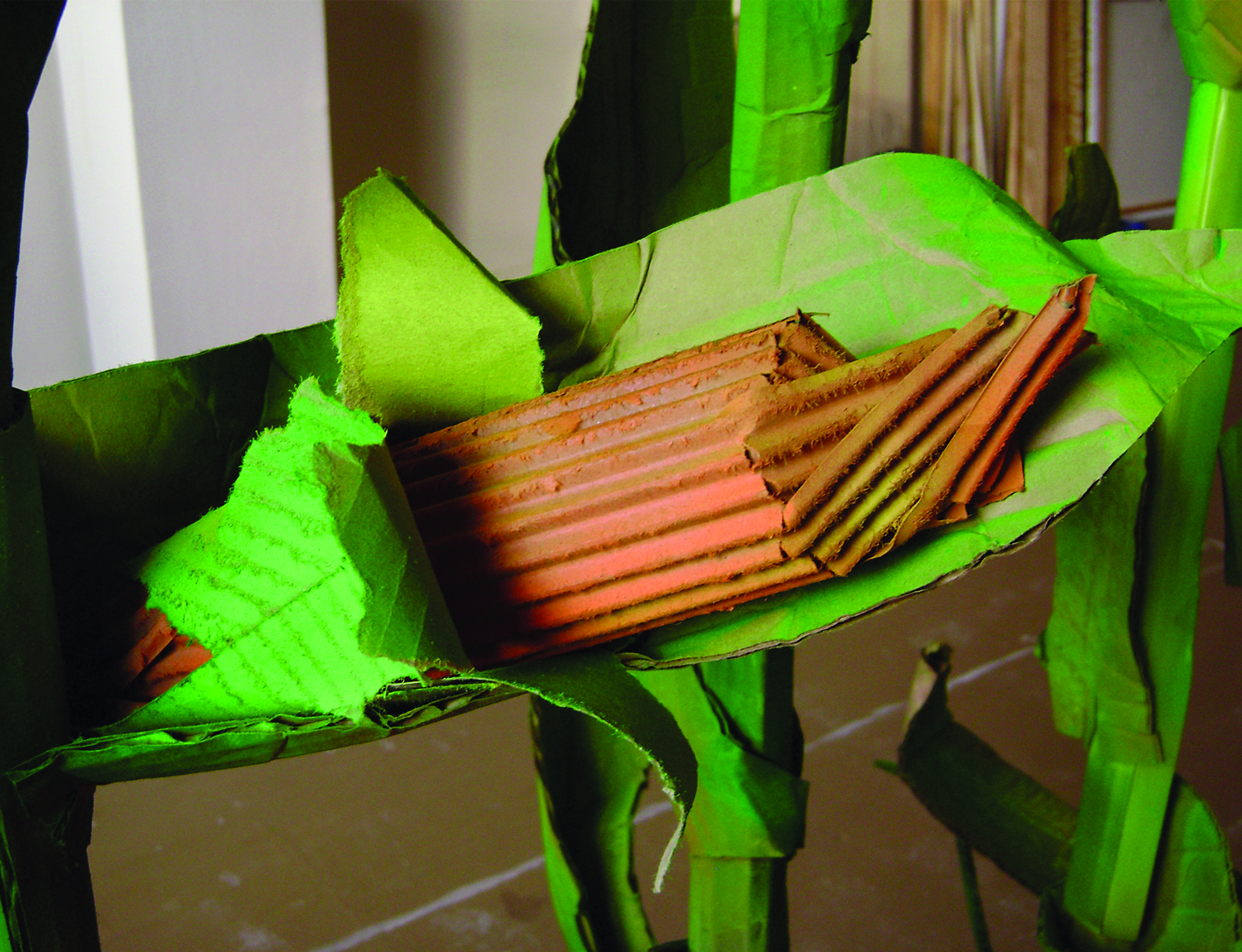 simone_Cardboard-63.jpg