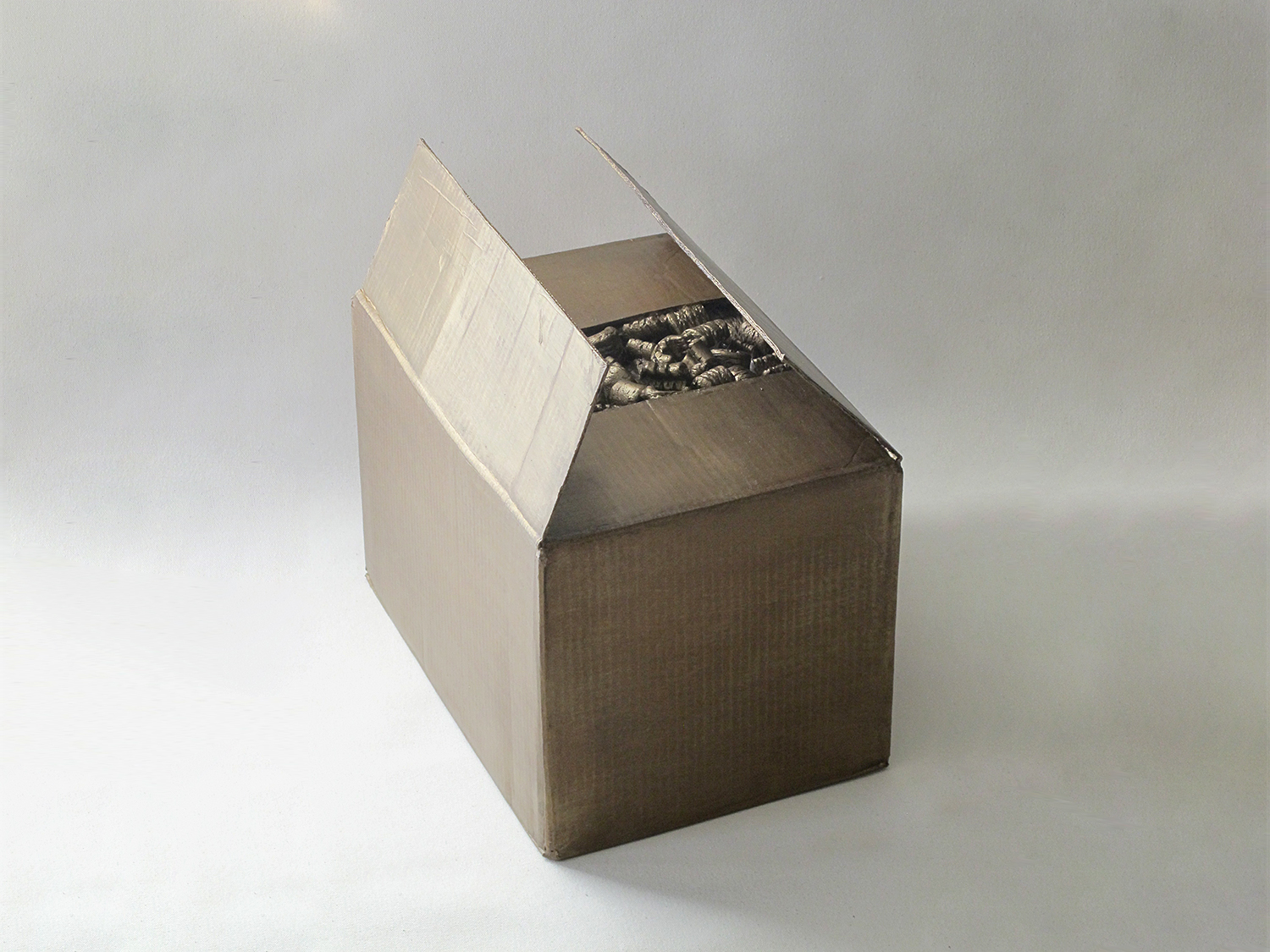 simone_Cardboard-82.jpg