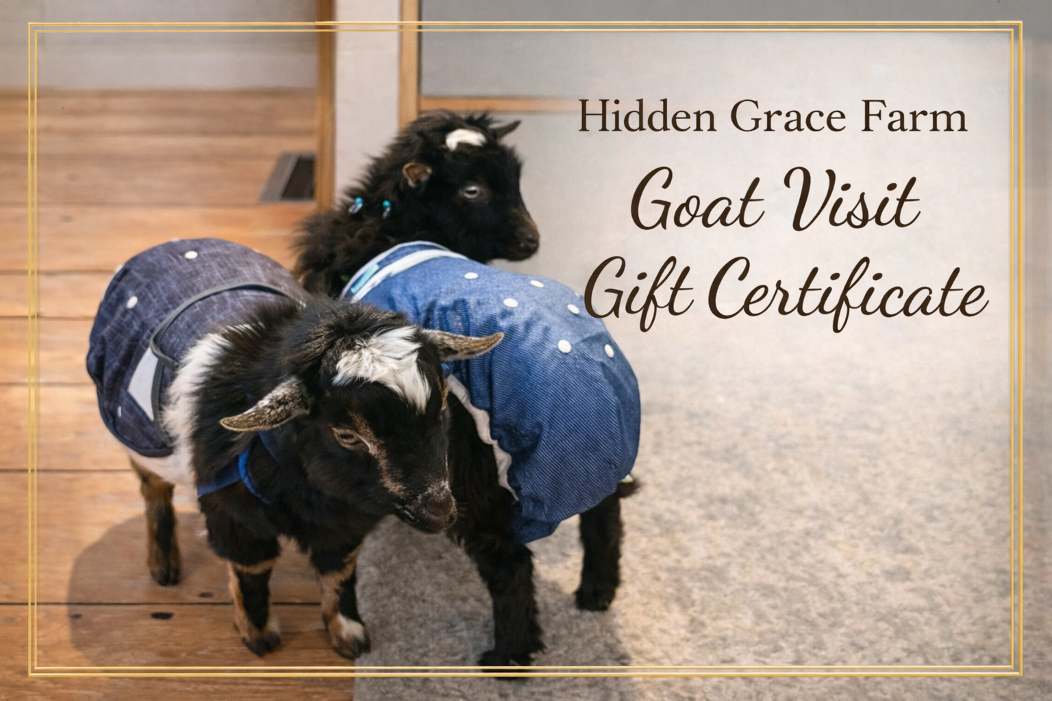 ChatGPT Image Jan 28, 2026, 06_57_37 PM.png