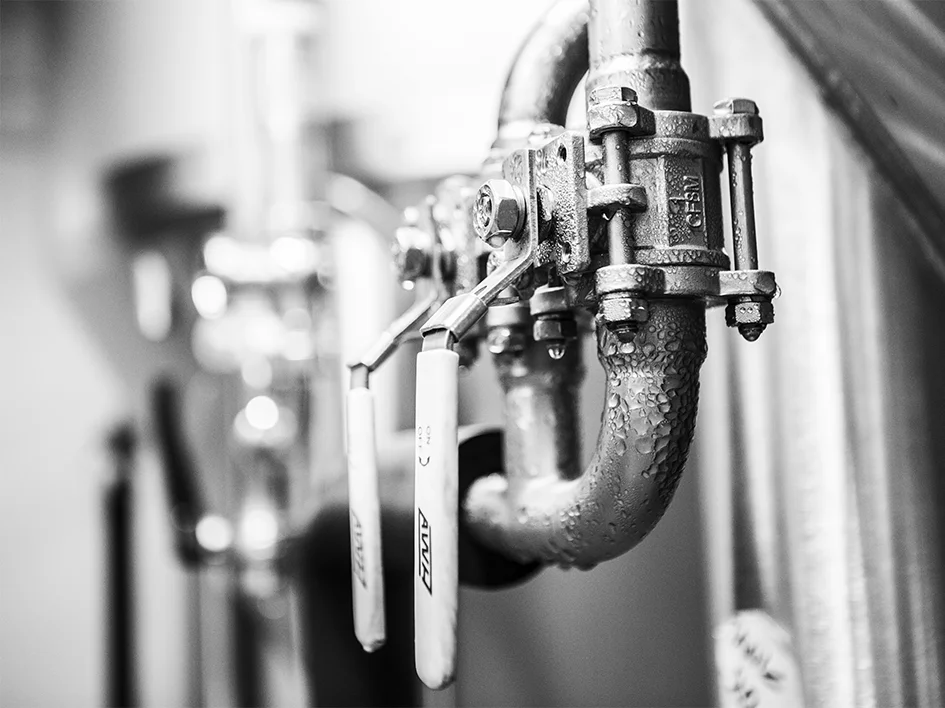 915A9304 copy web.JPG