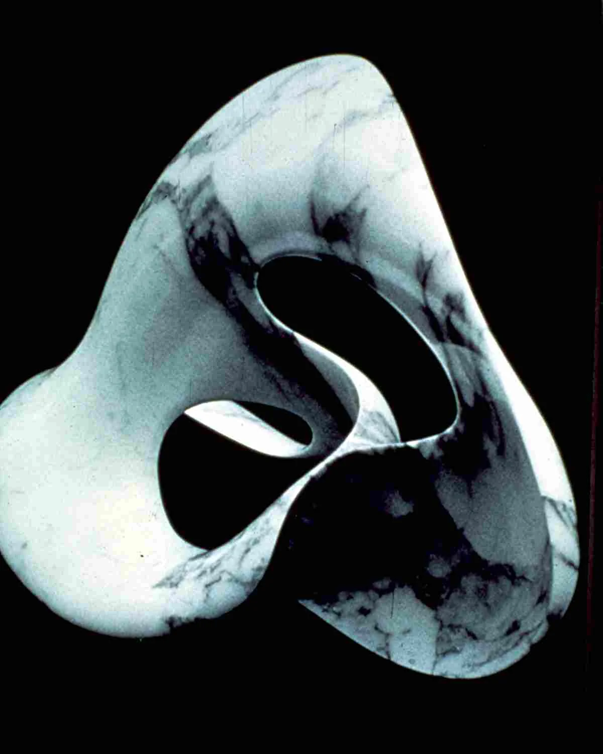  Stone NAUTILUS - Carrara Arrebescato Marble 