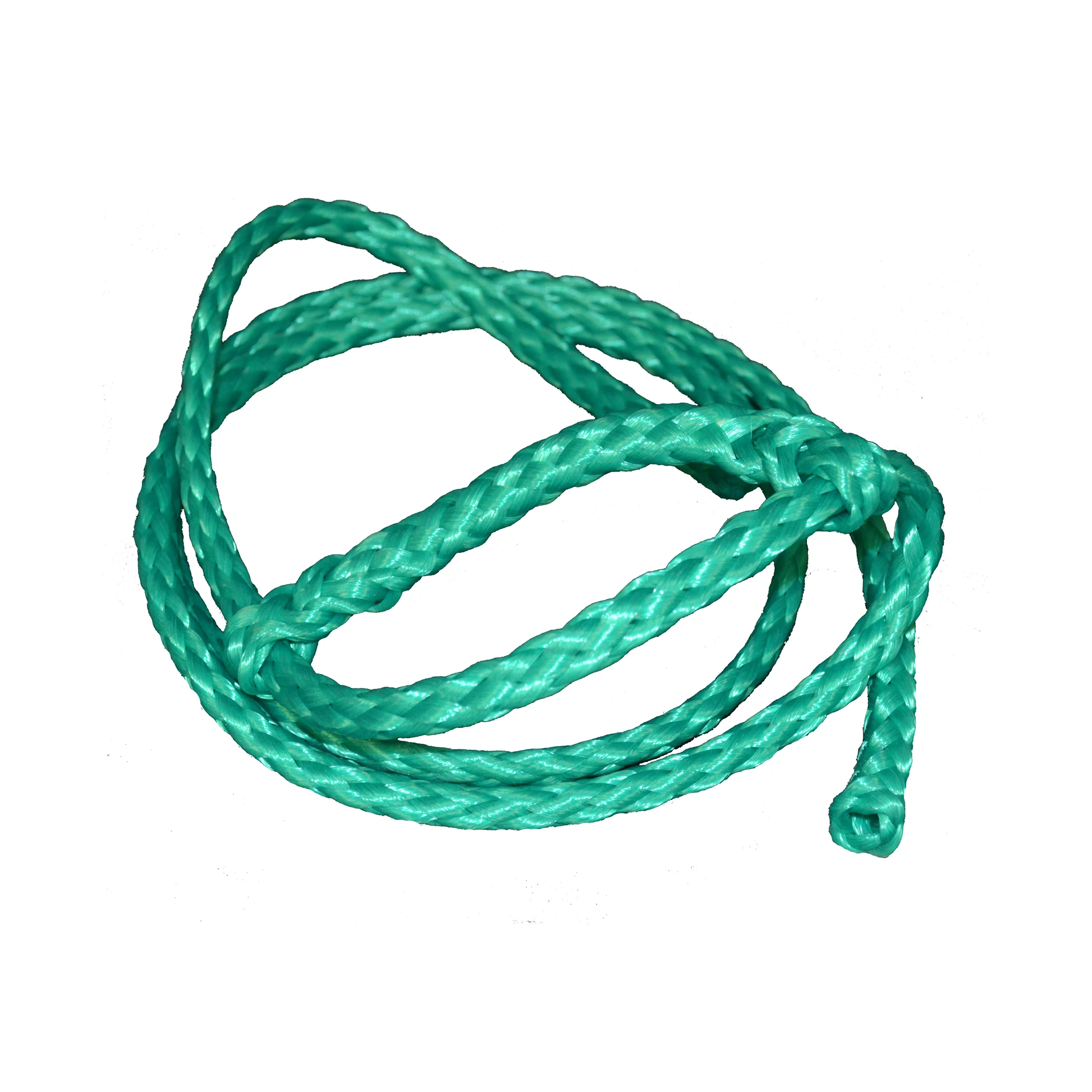 Lamb Halter