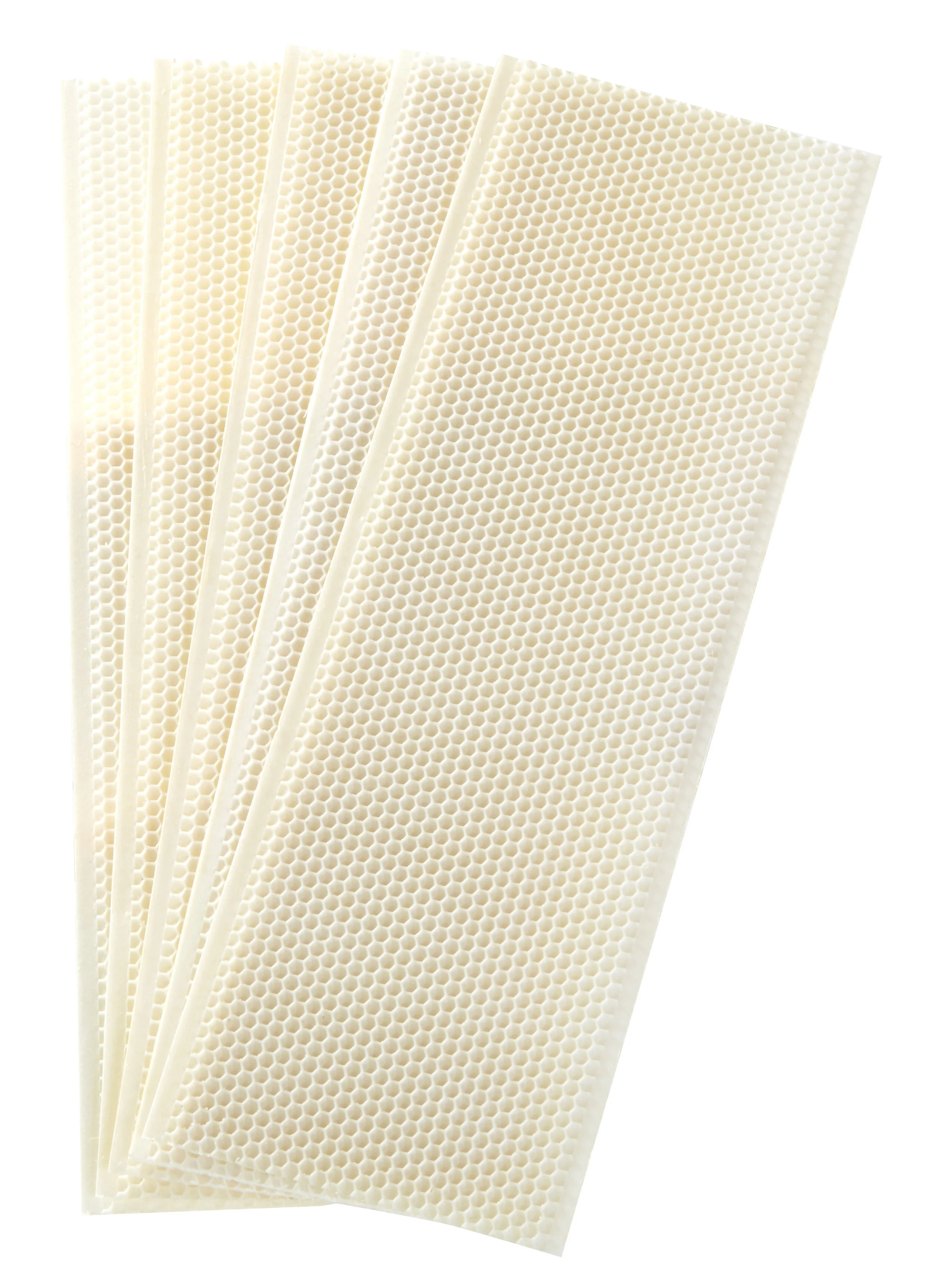Medium Wax-Coated Plastic Foundation