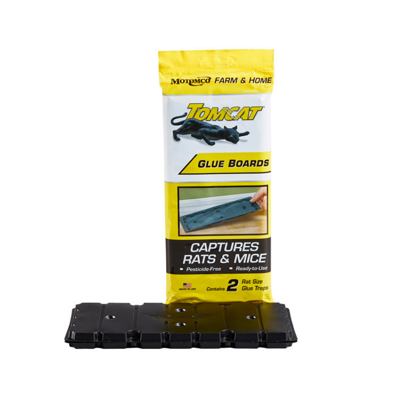 Glue Board Valu-Pak (Rat)