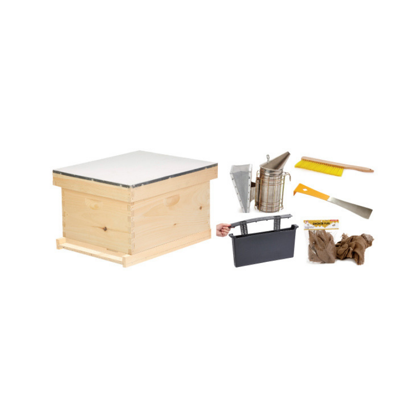 Beginner Hive Kit