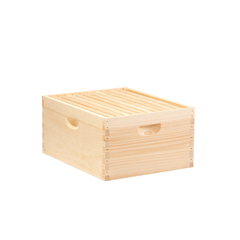 Deep Hive Body