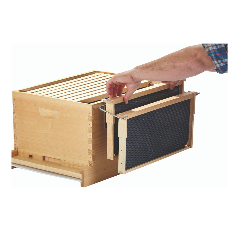 Metal Frame Holder