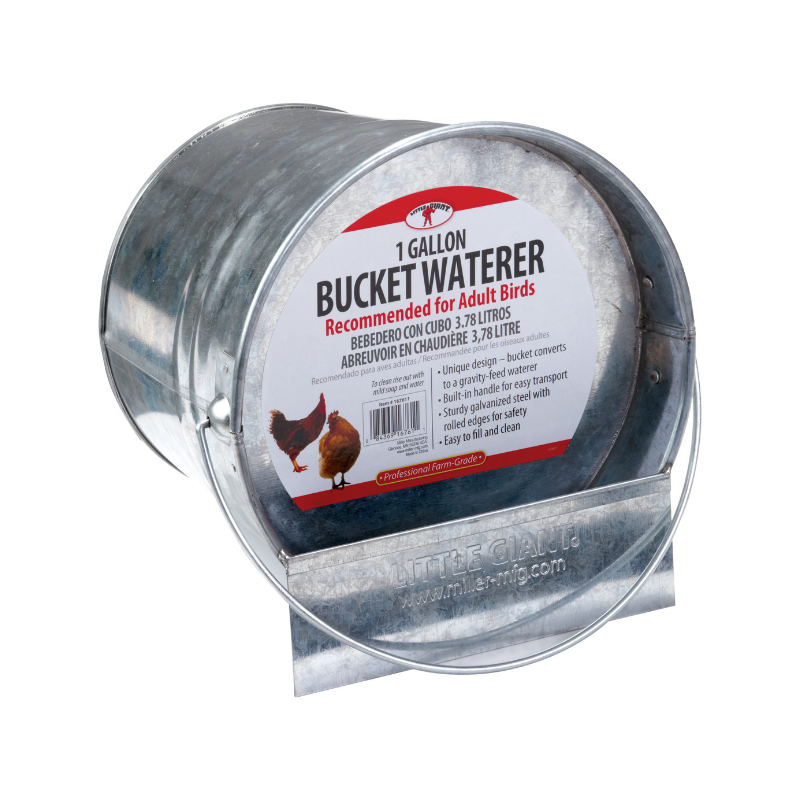 1 Gal. Galvanized Bucket Waterer
