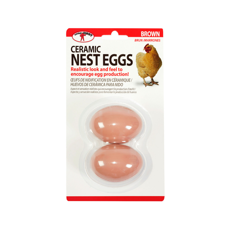 Ceramic Eggs - Brown