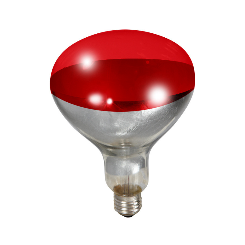 Heat Lamp Bulbs