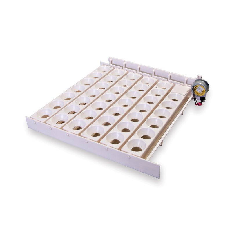 Automatic Egg Turner