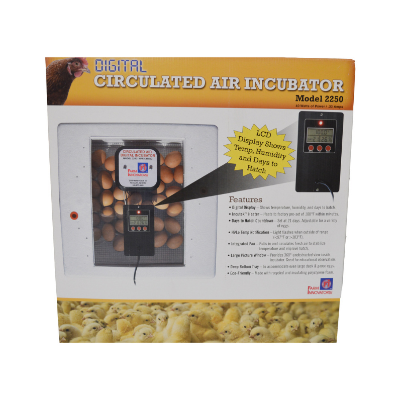 Digital Circulated Air Incubator