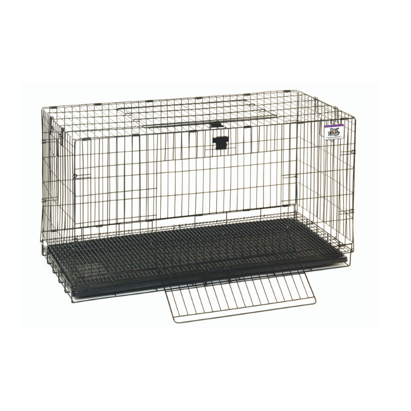 Wire Cage with Tray