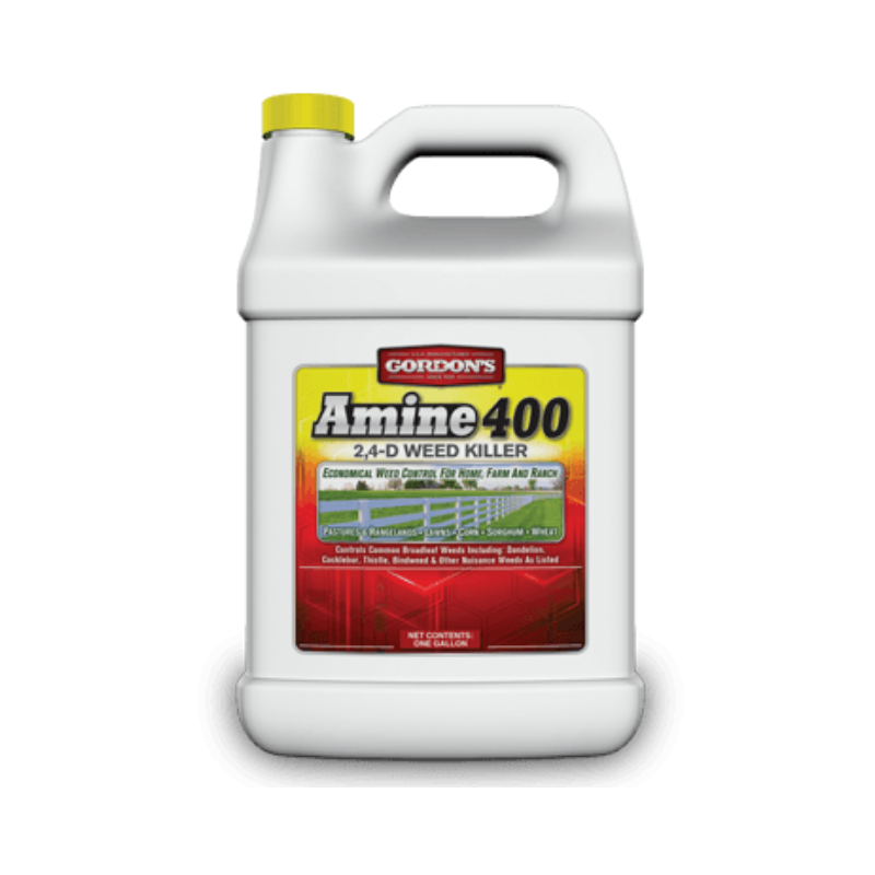 Amine 400
