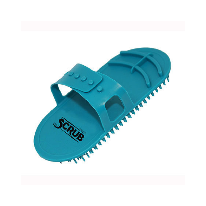 plastic scrub brush.png