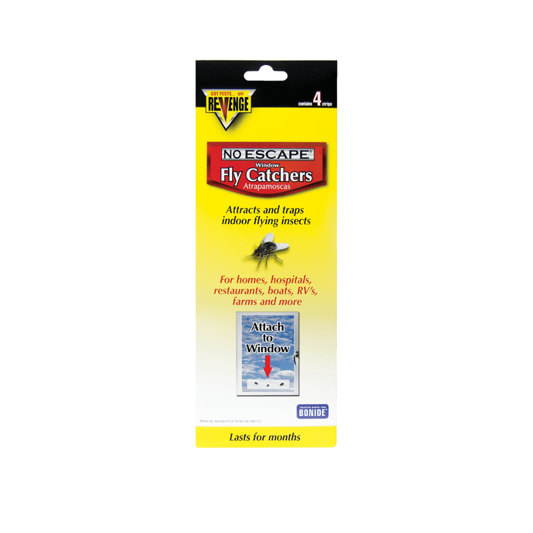 fly catcher window (1).png