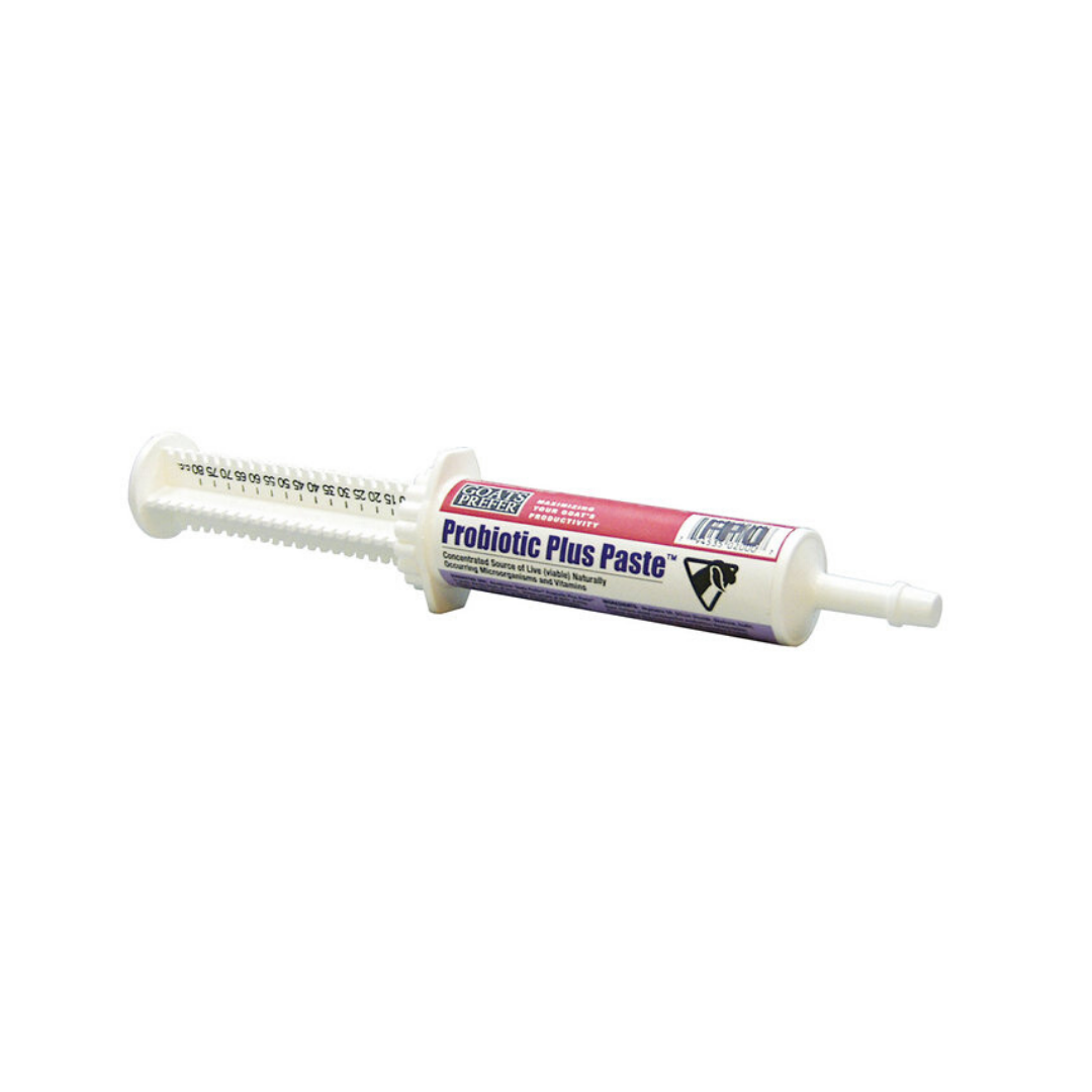 probiotic paste.png