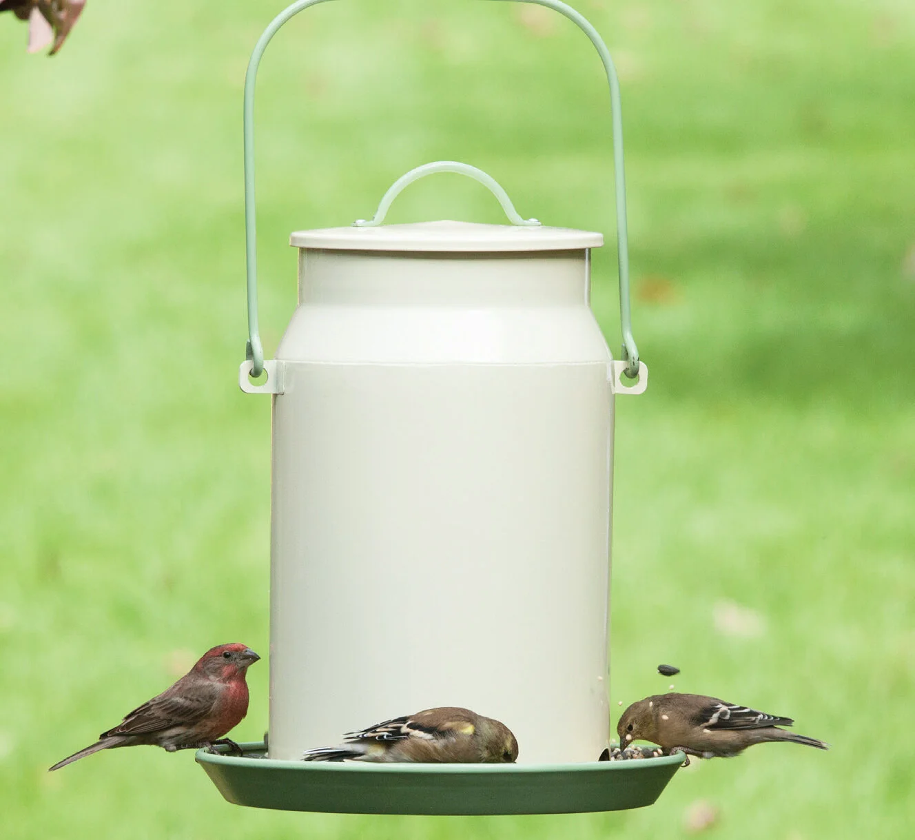 115-6001 milk pail.jpg