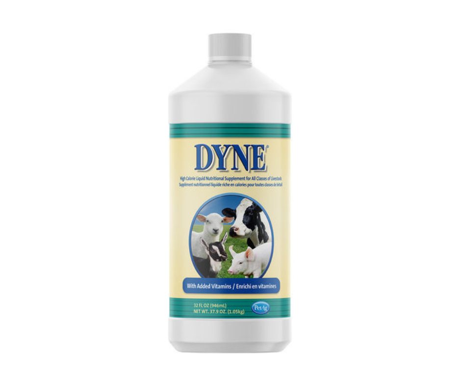 dyne.png